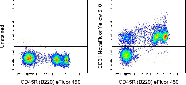 CD31 (PECAM-1) Antibody in Flow Cytometry (Flow)