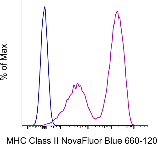 MHC Class II (I-A/I-E) Antibody in Flow Cytometry (Flow)