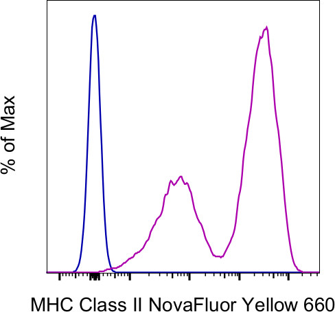 MHC Class II (I-A/I-E) Antibody in Flow Cytometry (Flow)