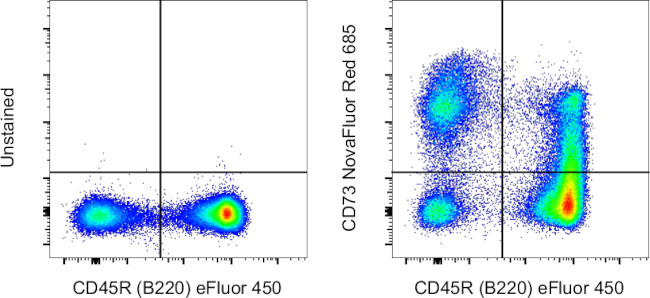 CD73 Antibody in Flow Cytometry (Flow)