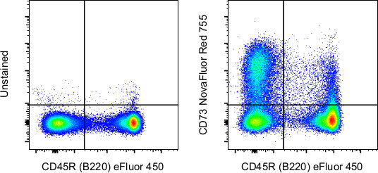 CD73 Antibody in Flow Cytometry (Flow)