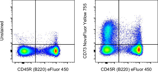 CD73 Antibody in Flow Cytometry (Flow)