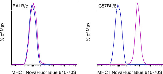 MHC Class I (H-2Kb) Antibody in Flow Cytometry (Flow)