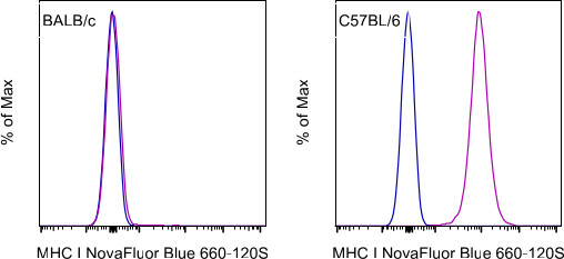 MHC Class I (H-2Kb) Antibody in Flow Cytometry (Flow)