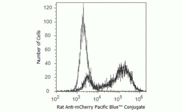 mCherry Antibody in Flow Cytometry (Flow)