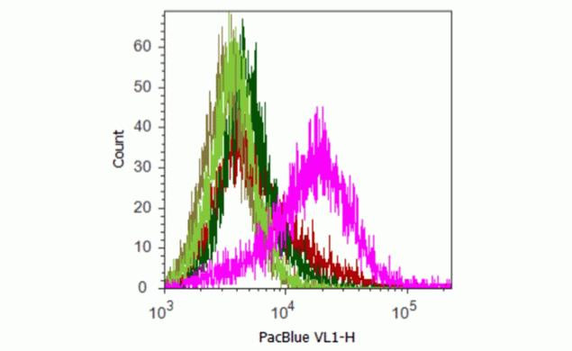 mCherry Antibody in Flow Cytometry (Flow)