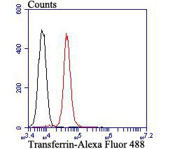 Transferrin Antibody in Flow Cytometry (Flow)