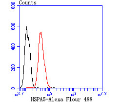 HSPA5 Antibody in Flow Cytometry (Flow)