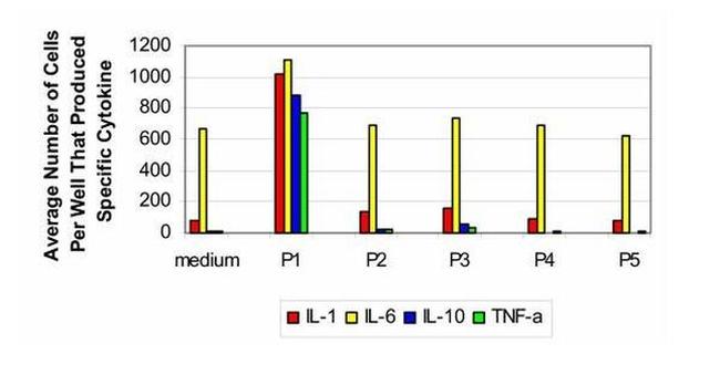 IL-1 beta Antibody in ELISA (ELISA)