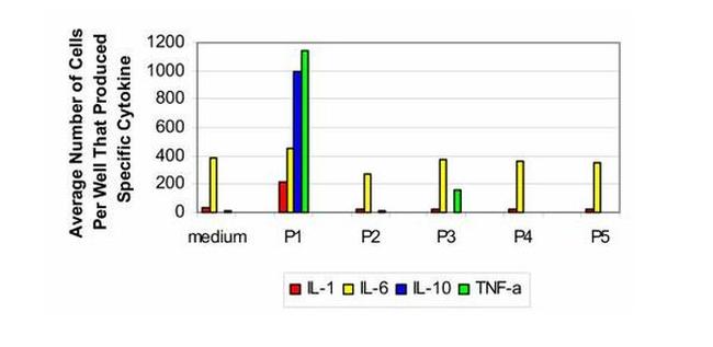 IL-1 beta Antibody in ELISA (ELISA)