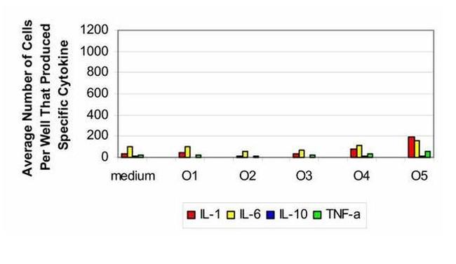 IL-1 beta Antibody in ELISA (ELISA)