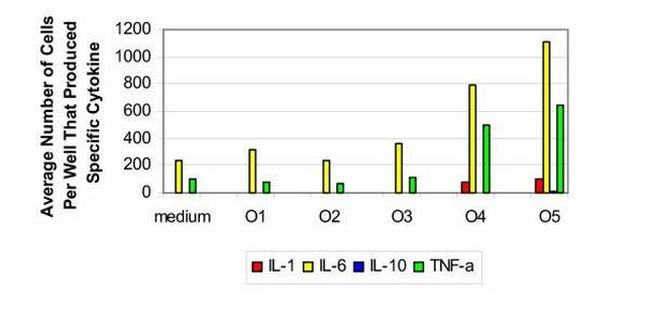 IL-1 beta Antibody in ELISA (ELISA)