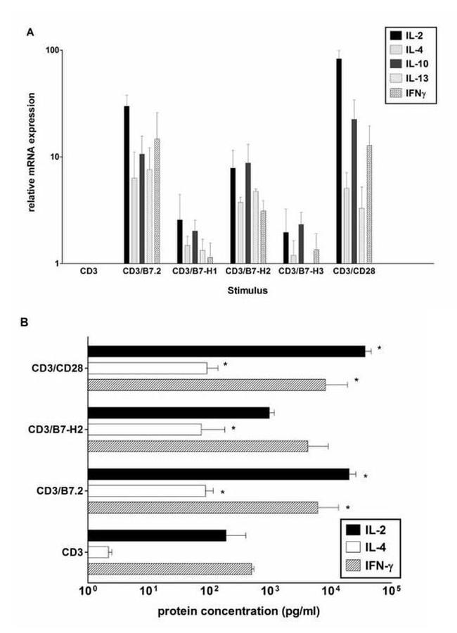 IL-4 Antibody in ELISA (ELISA)