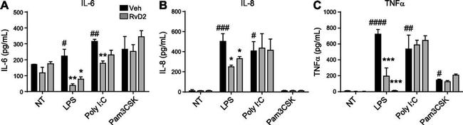 IL-8 (CXCL8) Antibody in ELISA (ELISA)