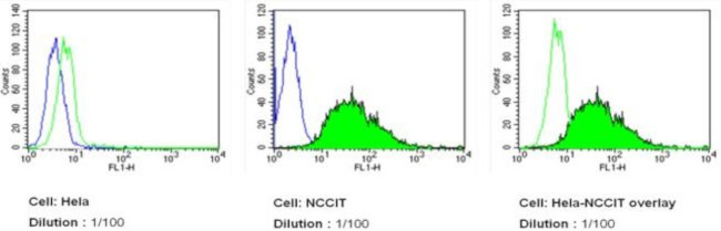 SSEA3 Antibody in Flow Cytometry (Flow)