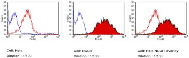 SSEA3 Antibody in Flow Cytometry (Flow)