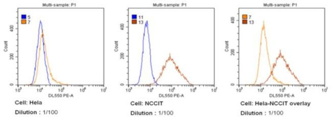 SSEA4 Antibody in Flow Cytometry (Flow)