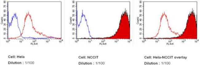 SSEA4 Antibody in Flow Cytometry (Flow)