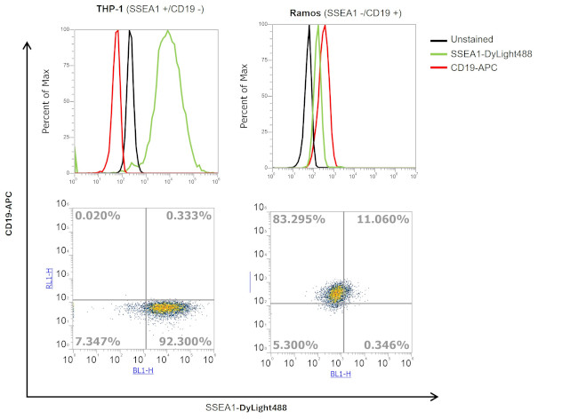 SSEA1 Antibody in Flow Cytometry (Flow)