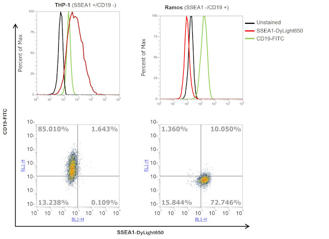 SSEA1 Antibody in Flow Cytometry (Flow)