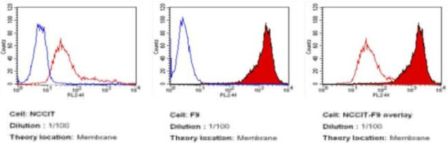 SSEA1 Antibody in Flow Cytometry (Flow)