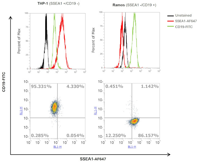 SSEA1 Antibody in Flow Cytometry (Flow)