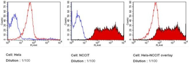 TRA-1-60 Antibody in Flow Cytometry (Flow)