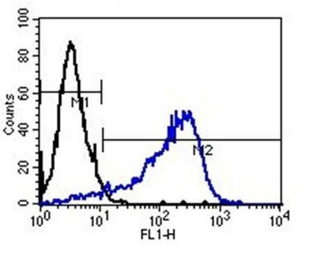 TRA-1-60 Antibody in Flow Cytometry (Flow)