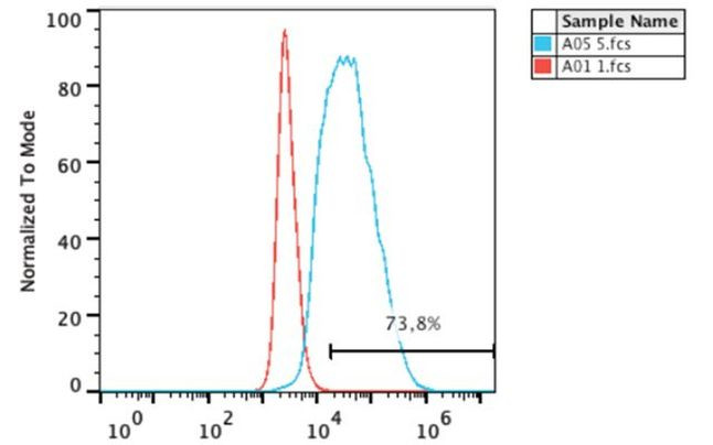 TRA-1-81 Antibody in Flow Cytometry (Flow)