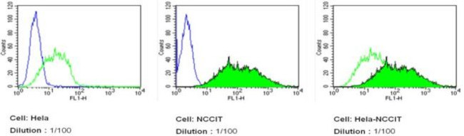 TRA-1-81 Antibody in Flow Cytometry (Flow)