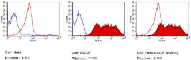 TRA-1-81 Antibody in Flow Cytometry (Flow)