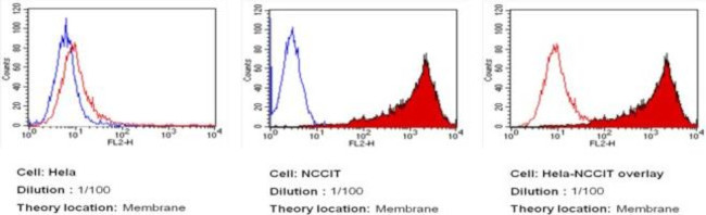 TRA-1-81 Antibody in Flow Cytometry (Flow)