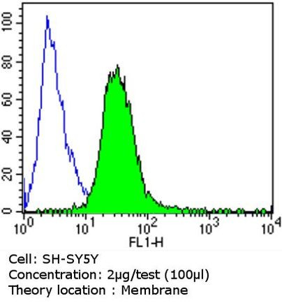 PSD-95 Antibody in Flow Cytometry (Flow)