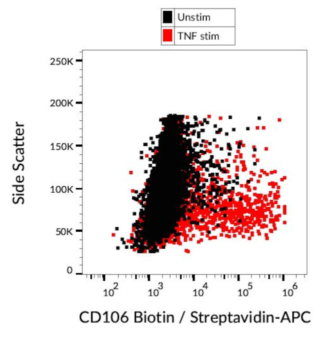 VCAM-1 Antibody in Flow Cytometry (Flow)