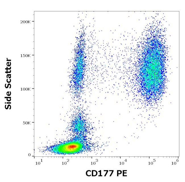 CD177 Antibody in Flow Cytometry (Flow)