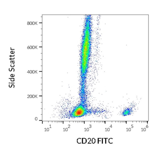 CD20 Antibody in Flow Cytometry (Flow)