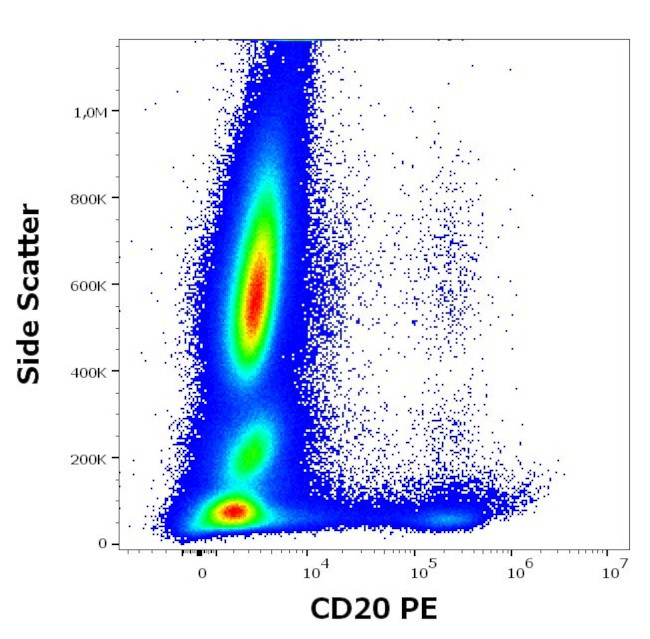 CD20 Antibody in Flow Cytometry (Flow)