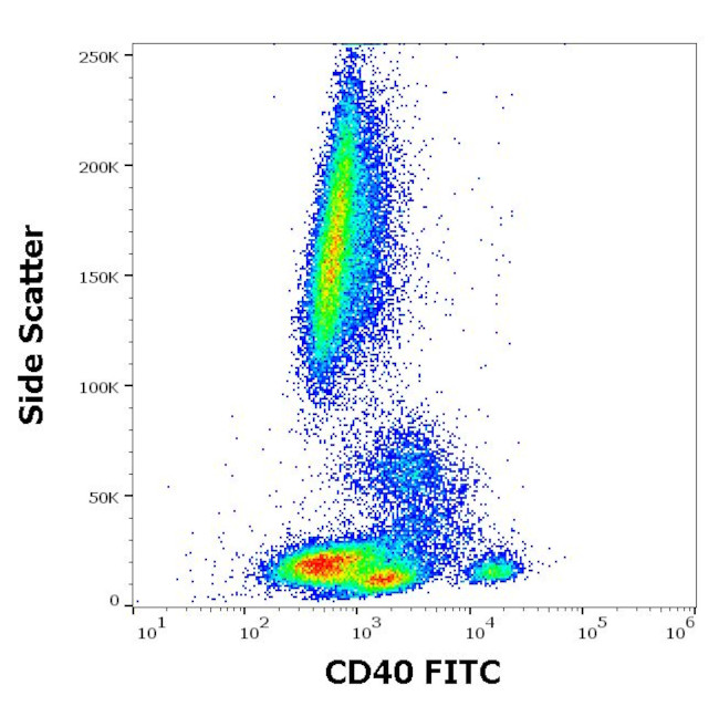 CD40 Antibody in Flow Cytometry (Flow)