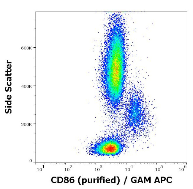 CD86 Antibody in Flow Cytometry (Flow)