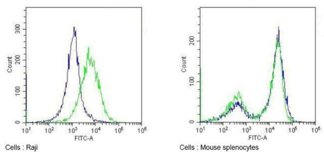 CD86 Antibody in Flow Cytometry (Flow)