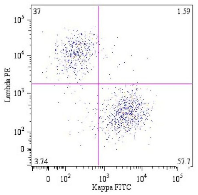 Human Kappa Light Chain Secondary Antibody in Flow Cytometry (Flow)