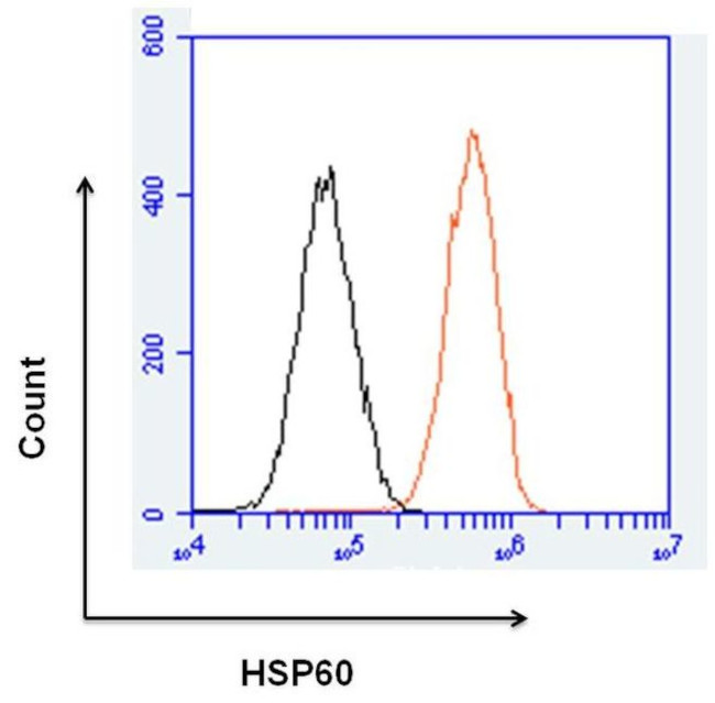 Mouse IgG2a Isotype Control in Flow Cytometry (Flow)