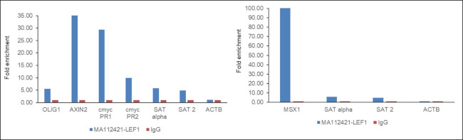 LEF1 Antibody in ChIP Assay (ChIP)