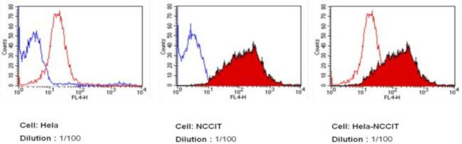 SSEA5 Antibody in Flow Cytometry (Flow)