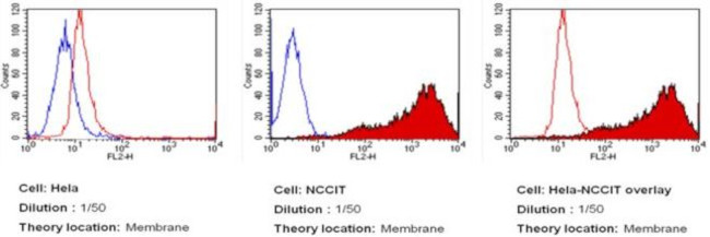 SSEA5 Antibody in Flow Cytometry (Flow)