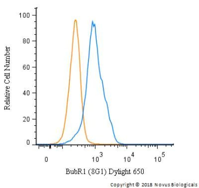 BUBR1 Antibody in Flow Cytometry (Flow)