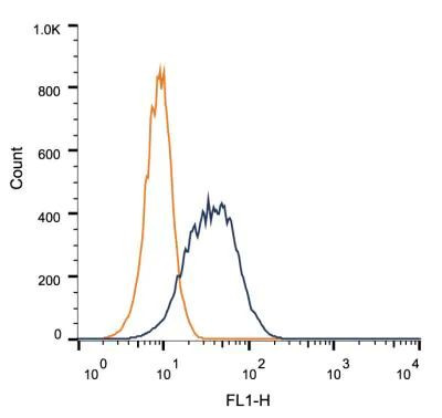 BUBR1 Antibody in Flow Cytometry (Flow)