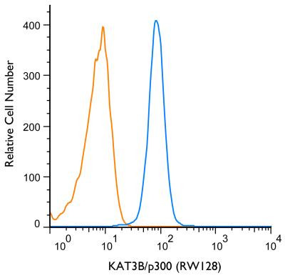 p300 Antibody in Flow Cytometry (Flow)