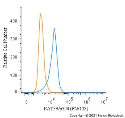 p300 Antibody in Flow Cytometry (Flow)