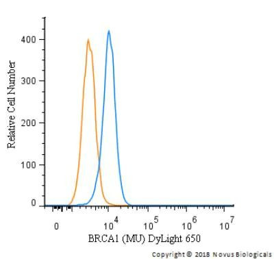 BRCA1 Antibody in Flow Cytometry (Flow)